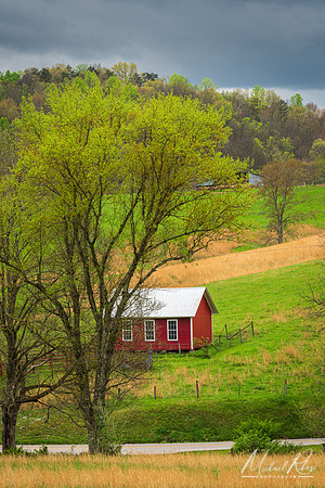 Spring Countryside (2024)