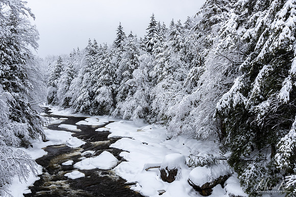 Blackwater River in Winter (2021)