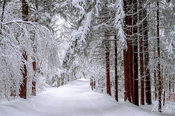 Canaan Mountain Road in Winter  (2021)