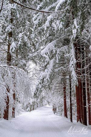 Canaan Mountain Road in Winter  (2021)