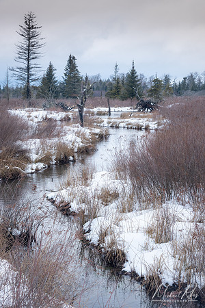 Canaan Valley Winter (2021)