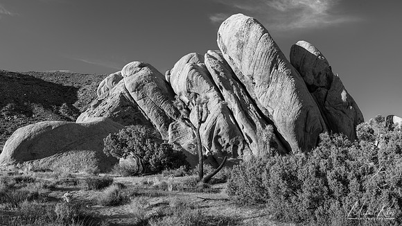 Rock Formation, Joshua Tree NP (2023)
