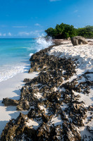 Aruba Eagle Beach (2024)