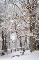 Winter Scene (2022)
