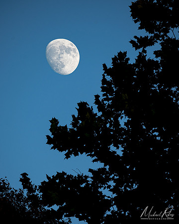 July 2022 Supermoon (2022)