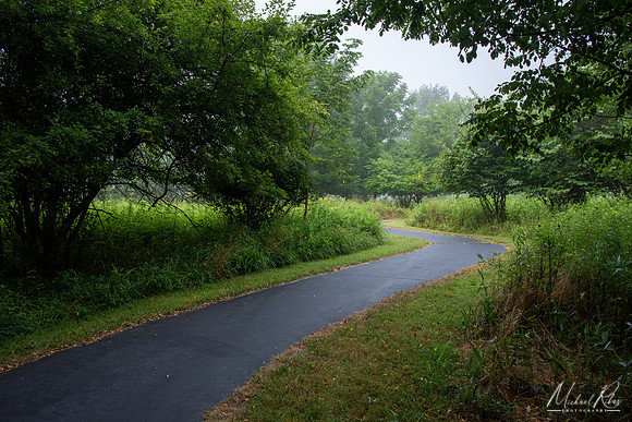 Quiet Summer Morning Walk (2024)