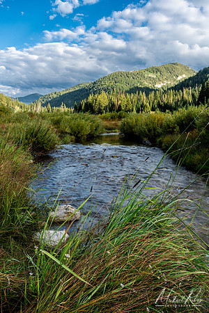 Wasatch Mountains (2024)