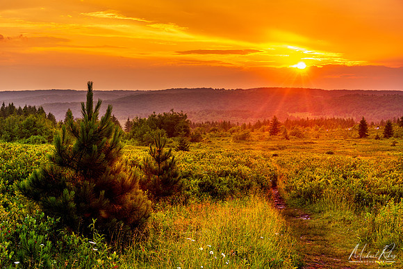Dolly Sods Sunset (2022)