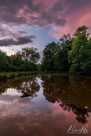 The Pond Spring Evening (2024)