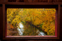 Little Musckngum River in Fall (2024)