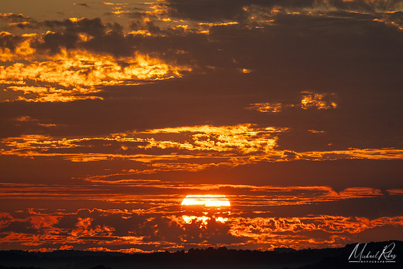 Summer Sunrise (2025)