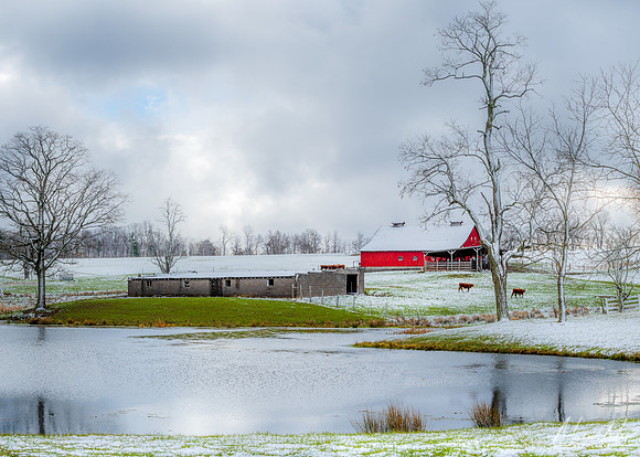 Spring Snow (2022)