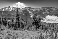 Mt. Rainier (2017)