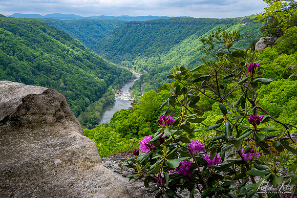 New River Gorge in Spring (2023)