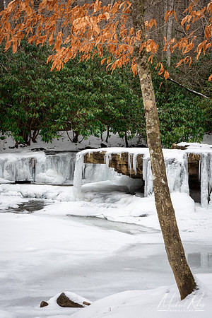Marsh Fork Falls Winter (2024)