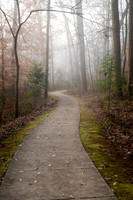 A Foggy Morning (2024)