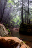 Mist and Rain in Hocking Hills (2024)