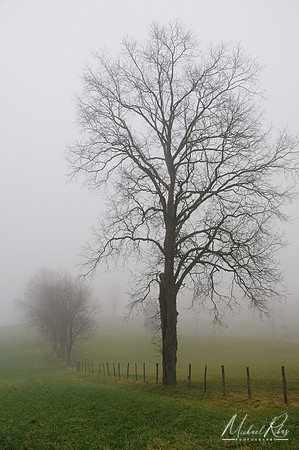 A Late November Morning