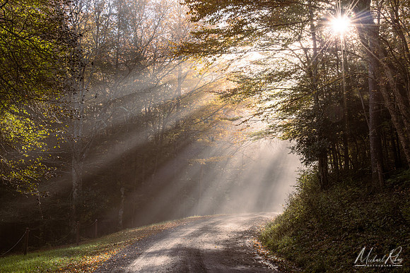 Morning Has Broken (2016)