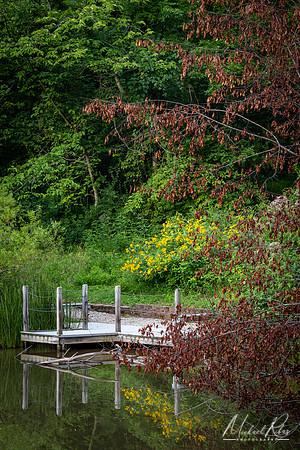 Pond Pier (2022)