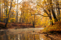 Autumn at north Bend (2024)