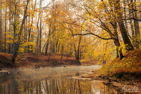 Autumn at north Bend (2024)