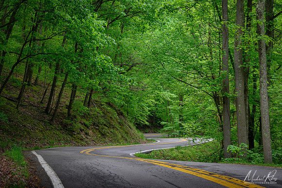 West Virginia Winding Road in Spring (2024)