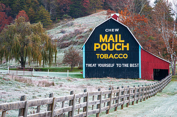 WV Mail Pouch Barn Frosty Morning (2013)