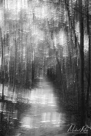 Summer Trail Dreams (2022)
