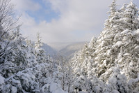 Blackwater Canyon in Winter