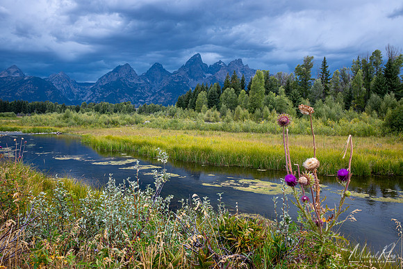 The Snake River at Grand Teton (2024)