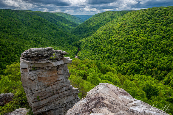 Lindy Point at Blackwater Falls SP (2024)