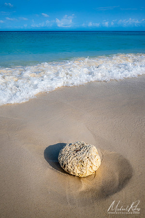 Aruba Beach (2024)