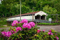 Phillipi Covered Bridge (2024)