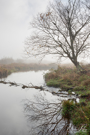 Reflections on the Blackwater River (2024)