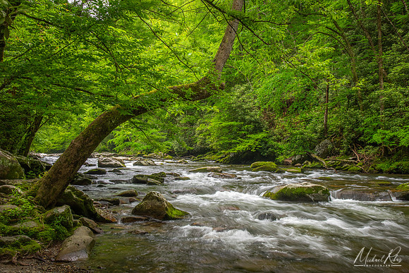 Little Pigeon River in Spring (2025)