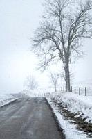 February Snow (2024)