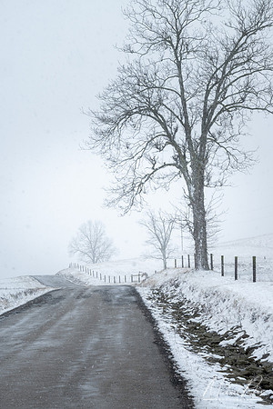 February Snow (2024)