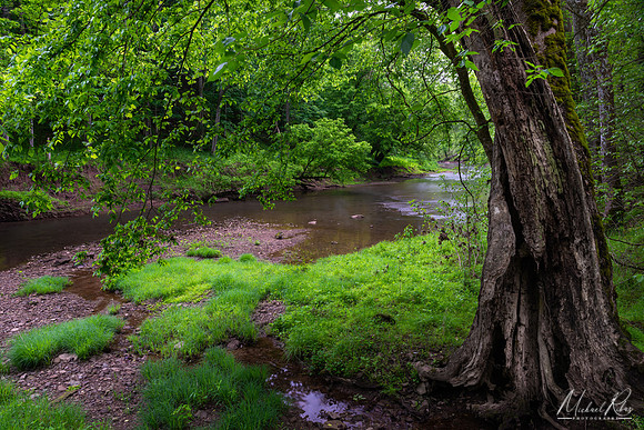 Springtime at North Bend SP (2024)