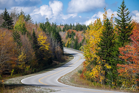 Highland Scenic Highway in Fall (2024)