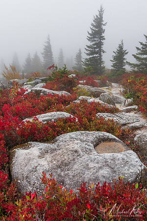 Bear Rocks Mist and Fog (2024)