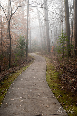 A Foggy Morning (2024)