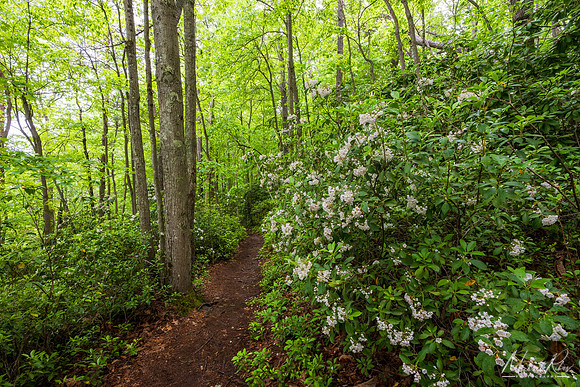 Endless wall Trail in Spring (2025)