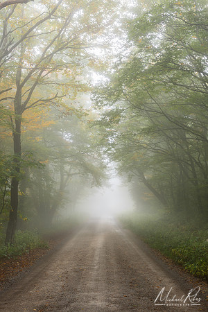 Into the Fog (2024)