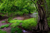 Springtime at North Bend SP (2024)