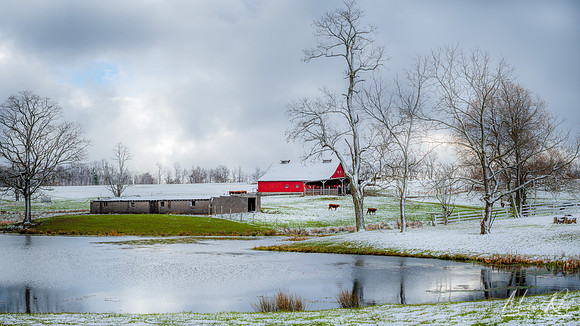 Spring Snow (2022)
