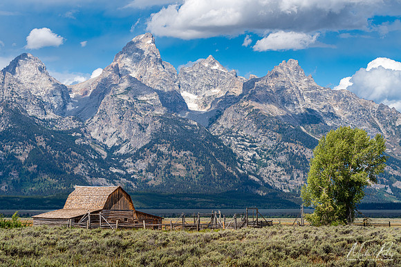 John Moulten Barn and the Teton Range (2024)