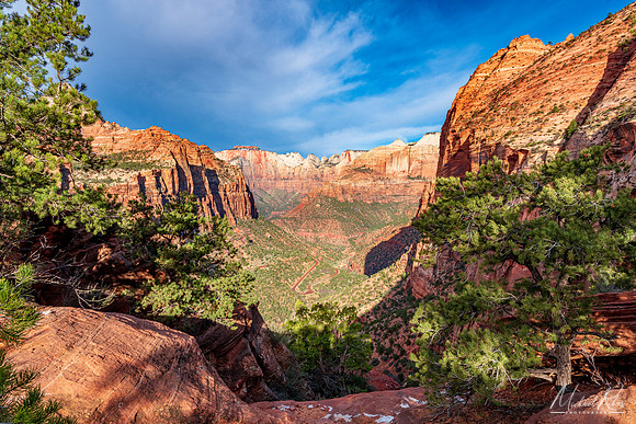Zion (2019)