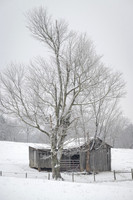 Winter Barn (2022)