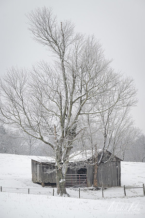 Winter Barn (2022)